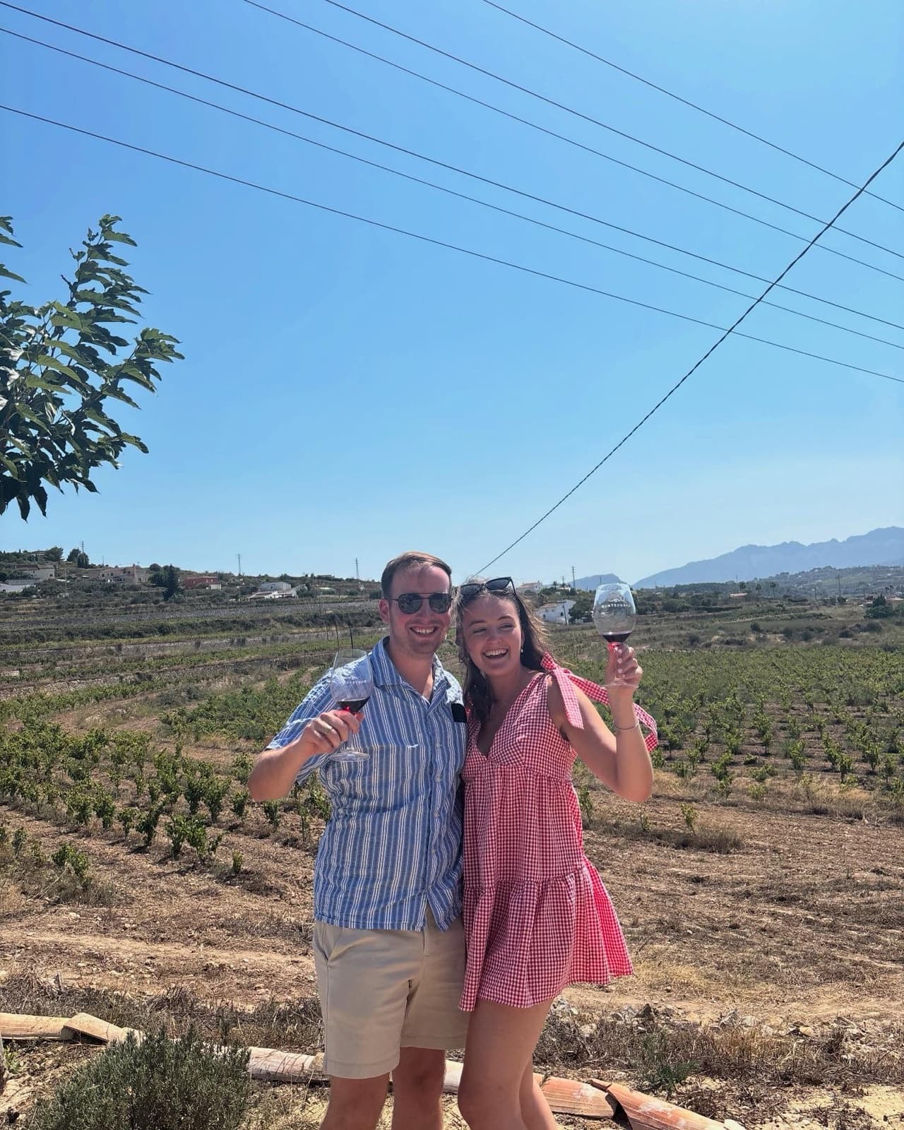Tony and Carrie toasting with wine in a vineyard